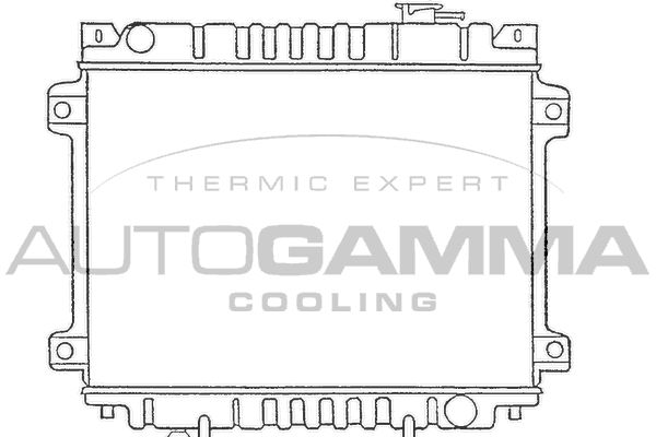 100494 AUTOGAMMA Радиатор, охлаждение двигателя