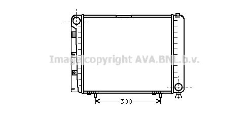 MS2079 AVA QUALITY COOLING Радиатор, охлаждение двигателя