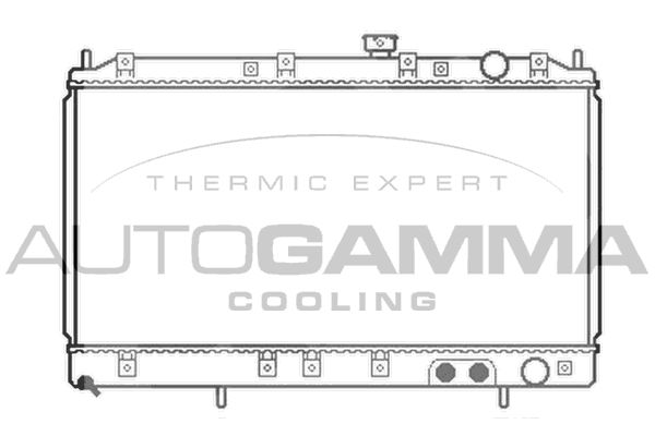 103479 AUTOGAMMA Радиатор, охлаждение двигателя