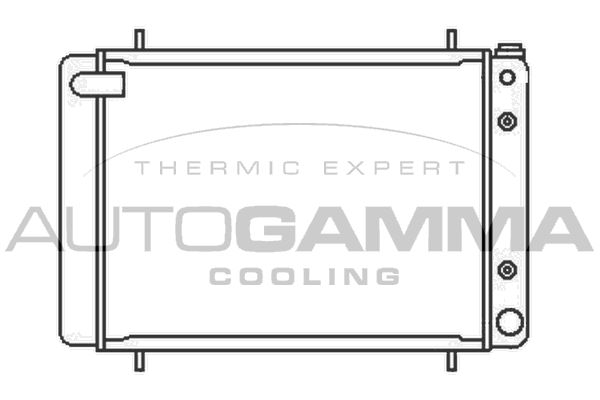 102292 AUTOGAMMA Радиатор, охлаждение двигателя
