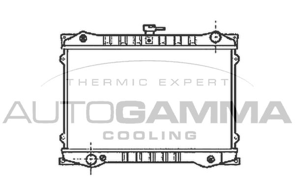102183 AUTOGAMMA Радиатор, охлаждение двигателя
