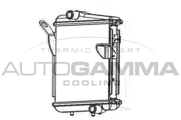 105746 AUTOGAMMA Радиатор, охлаждение двигателя