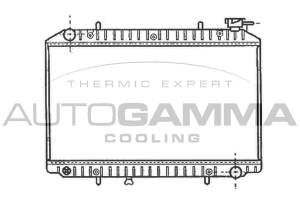 102201 AUTOGAMMA Радиатор, охлаждение двигателя