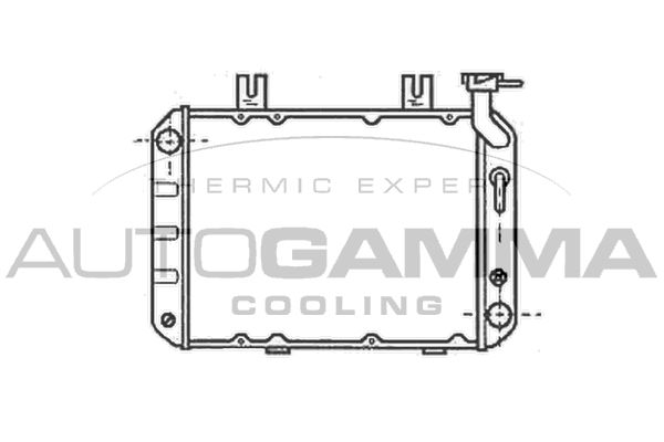 102106 AUTOGAMMA Радиатор, охлаждение двигателя