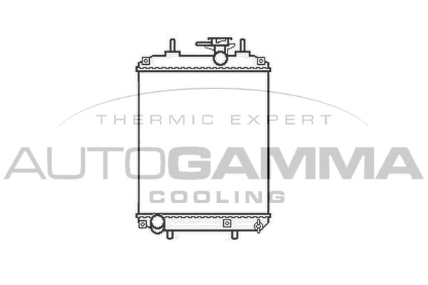 105790 AUTOGAMMA Радиатор, охлаждение двигателя