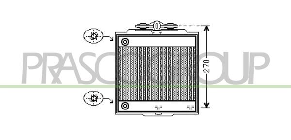 BM101R005 PRASCO Радиатор, охлаждение двигателя