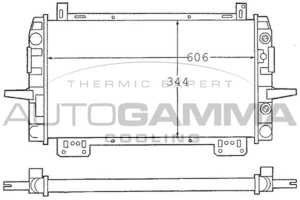 100379 AUTOGAMMA Радиатор, охлаждение двигателя