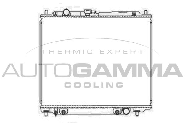 102178 AUTOGAMMA Радиатор, охлаждение двигателя
