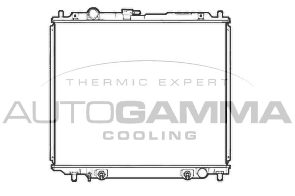 107252 AUTOGAMMA Радиатор, охлаждение двигателя