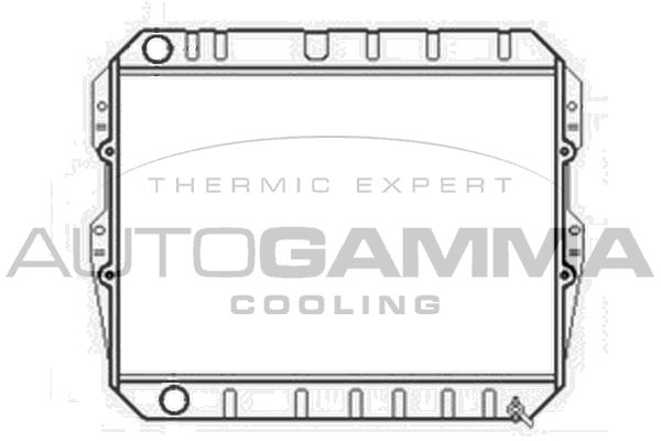102974 AUTOGAMMA Радиатор, охлаждение двигателя