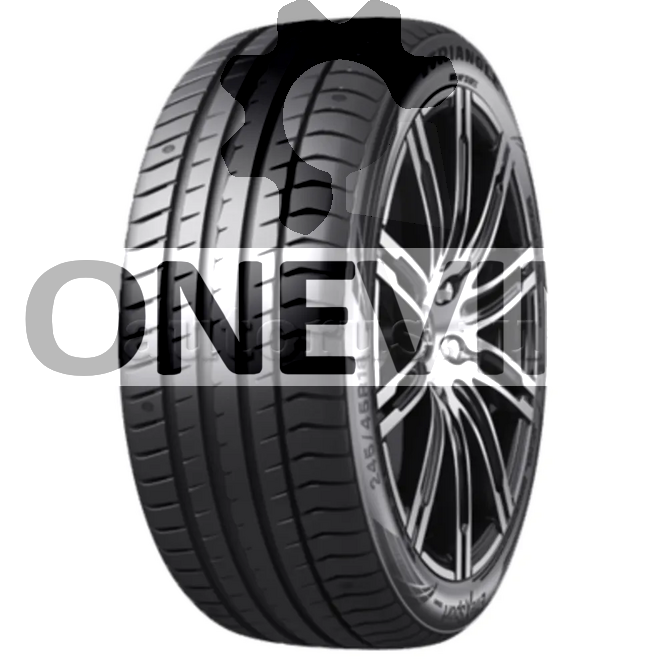 Шина R19 24545 Triangle EffeXSport TH202 102Y лето CTS281733