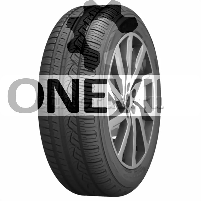 Шина R17 22555 Nitto NT421Q 101V лето NS00255