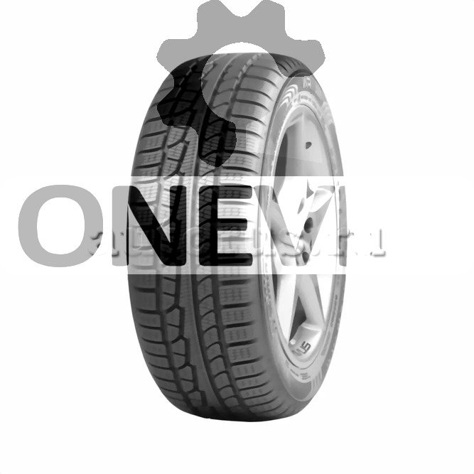 Шина R17 21550 Nokian WR G2 95V XL зима T441453