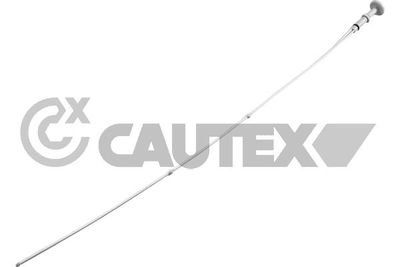 769824 CAUTEX Указатель уровня масла