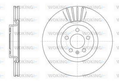 D6255210 WOKING Тормозной диск