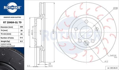 RT20484GLT9 ROTINGER Тормозной диск