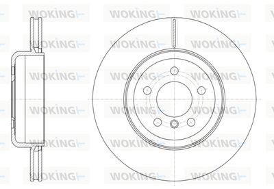 D6155110 WOKING Тормозной диск