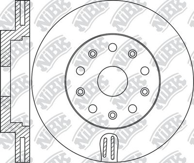 RN1981 NiBK Тормозной диск
