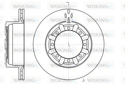 D6117010 WOKING Тормозной диск