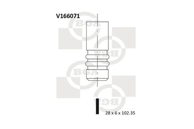 V166071 BGA Выпускной клапан